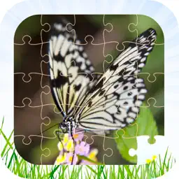 Butterfly Jigsaw Puzzle Kid Game 免费儿童游戏 男孩和女孩